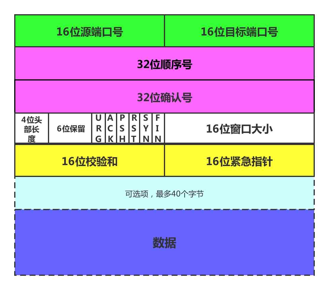 tcp头结构